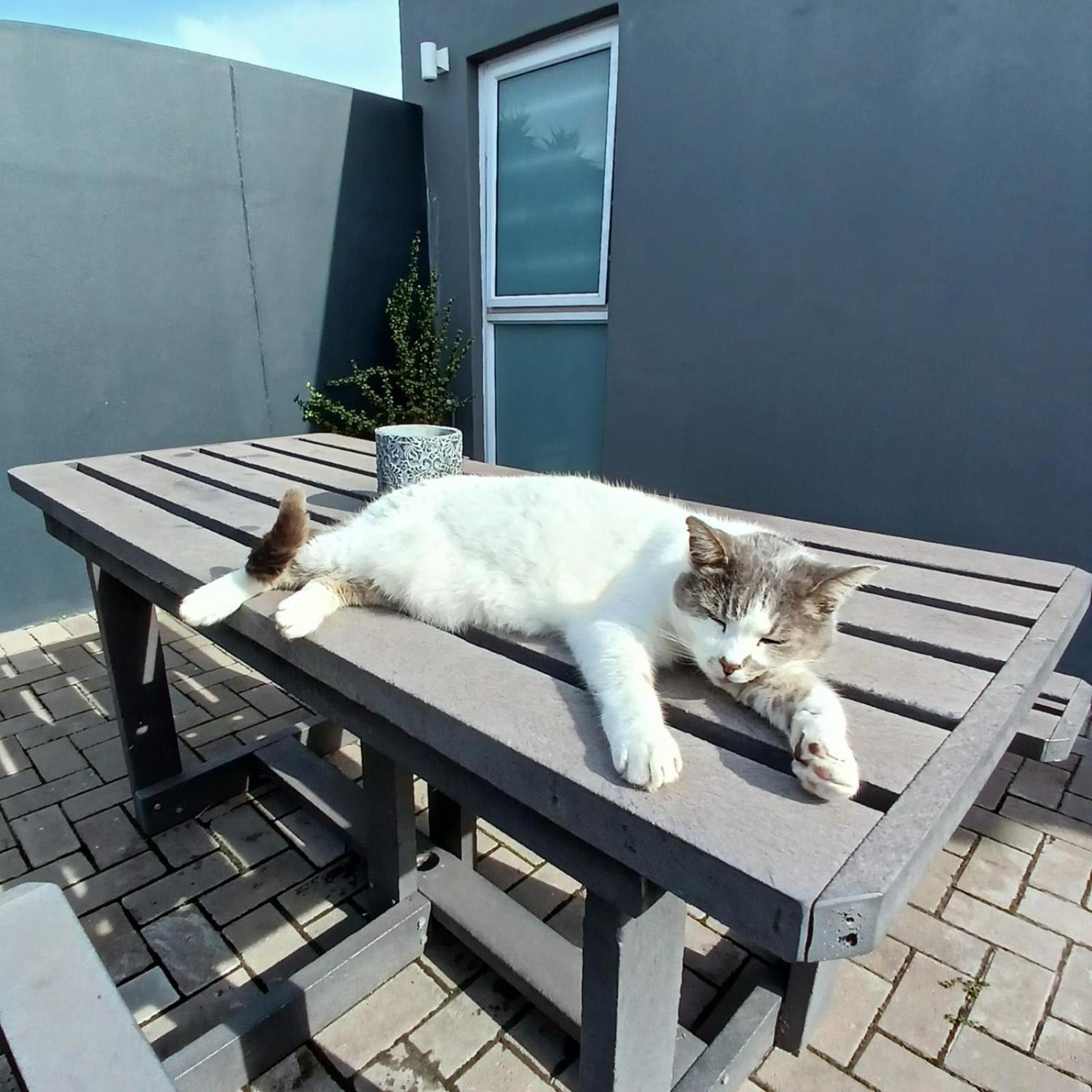 Wanderlust Private Studio Apartment Langebaan Exterior foto